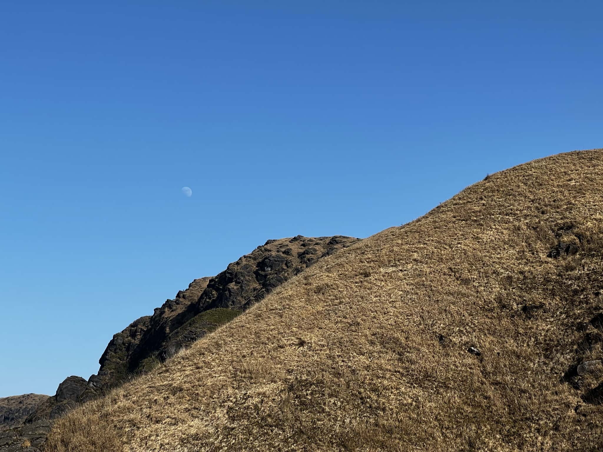 后来触摸到了月亮